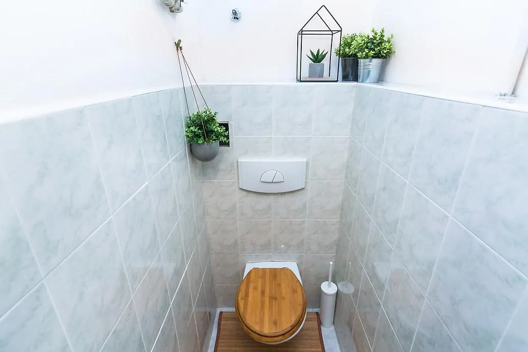 Apartment In Jiriho Z Podebrad Prague
